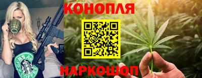 гашик Абакан