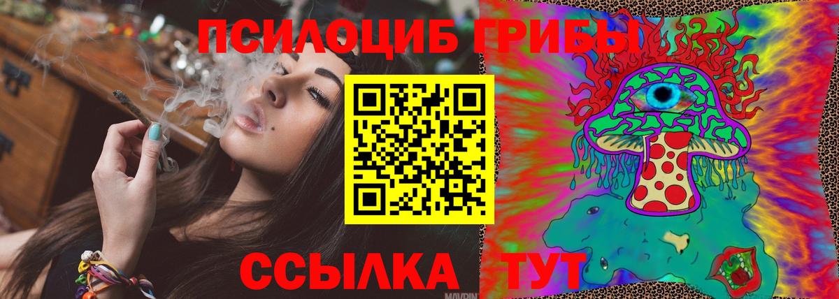 Псилоцибиновые грибы мухоморы Алексин